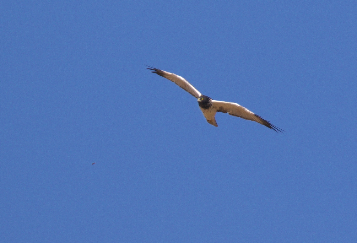 f0288418_1221710.jpg