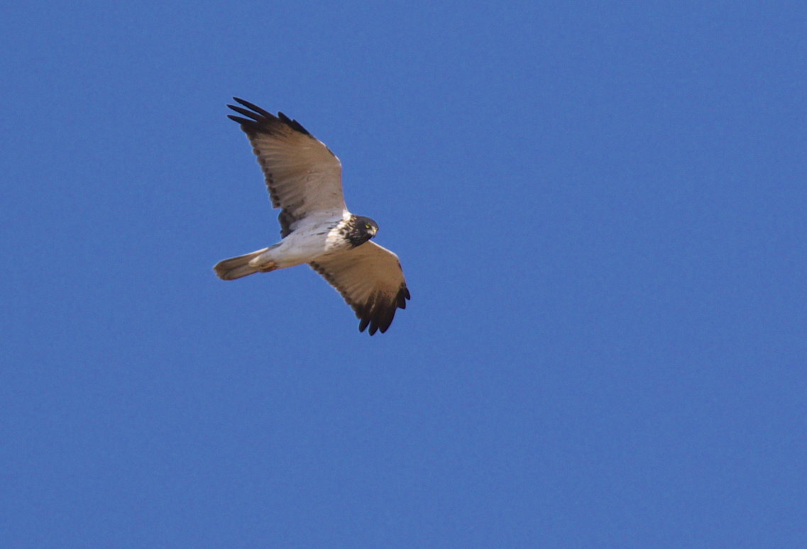 f0288418_1222939.jpg