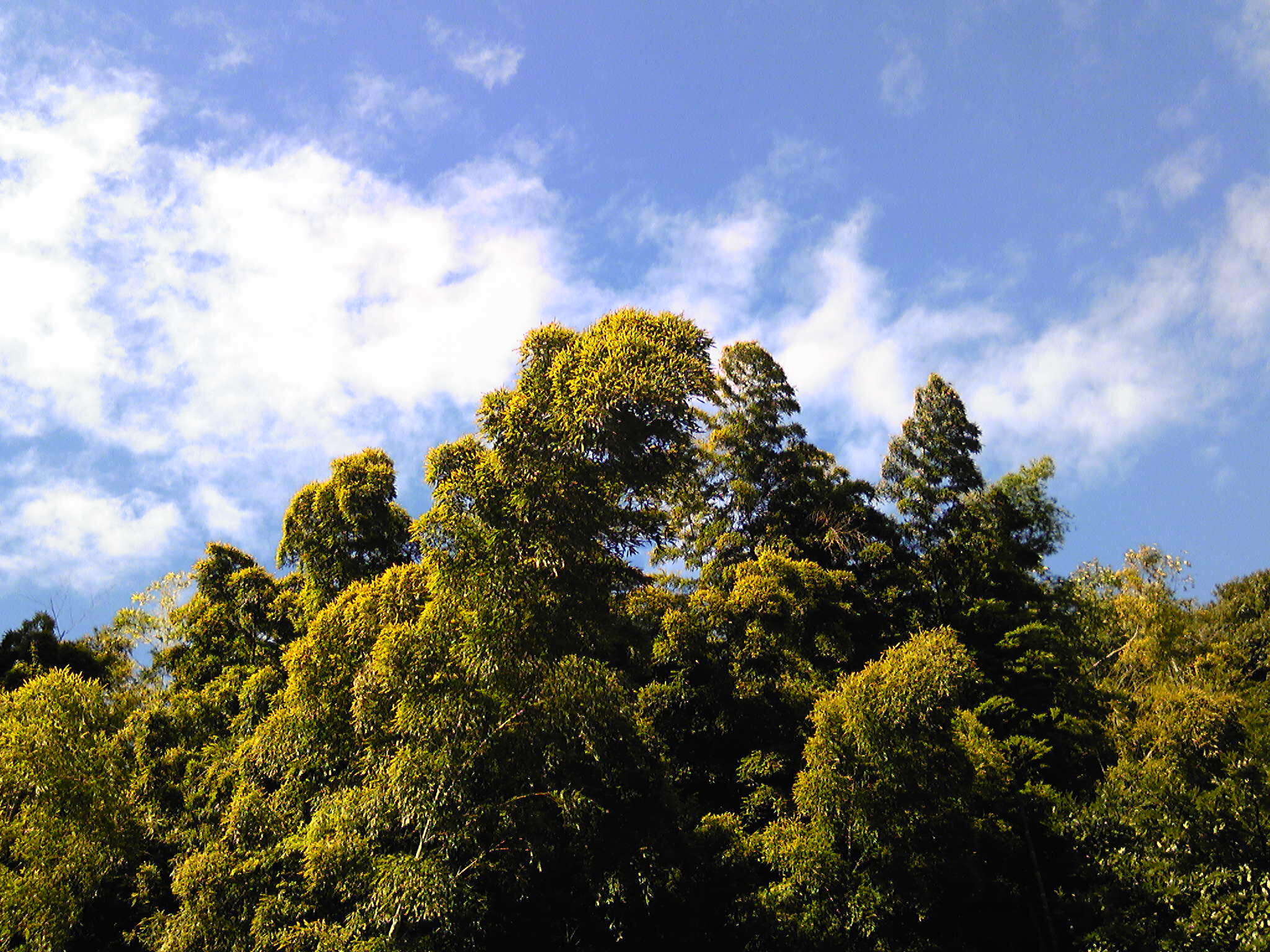 b0285619_21374593.jpg
