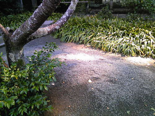 b0285619_21394637.jpg