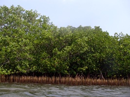 a0043520_20232911.jpg