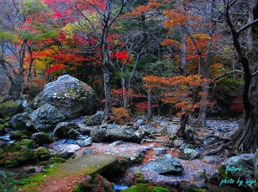 AKI \"2_e0248120_22264807.jpg