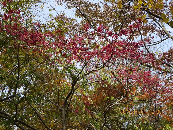 a0048823_1634342.jpg