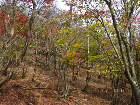 a0048823_16414340.jpg