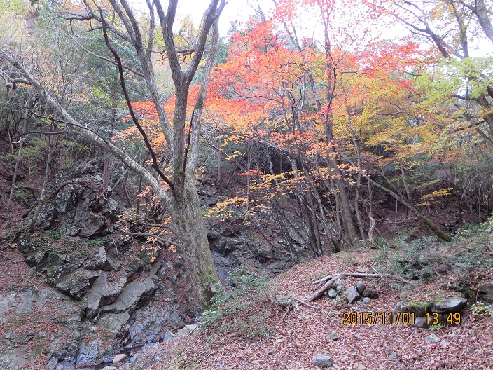 a0048823_1712275.jpg
