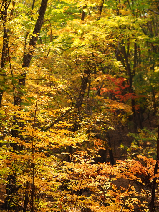 b0244424_23204142.jpg