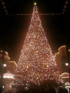 c0109726_12555165.jpg