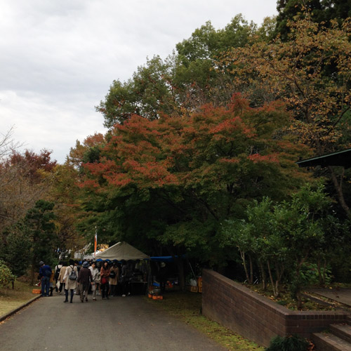 益子に行ってきました。_a0026127_17372510.jpg