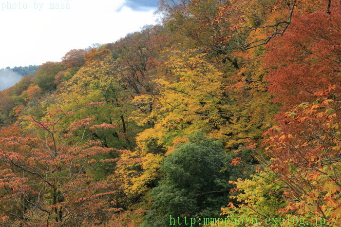 三度の大江山　　Ⅱ_d0283427_19005638.jpg