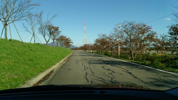 桜紅葉_b0237229_09164673.jpg