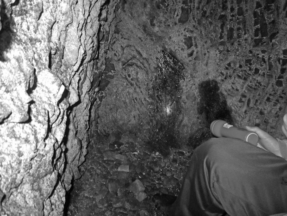 関善光寺の「あの洞穴」はどこまで続いているのか!_a0026530_20070478.jpg