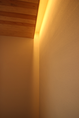 「千葉の家」九州のシラスを原料とした壁材_f0170331_11552100.jpg