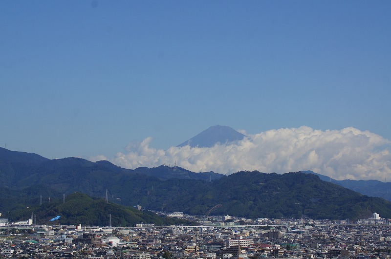 a0122932_859759.jpg