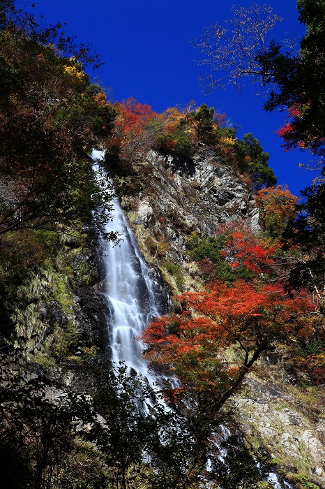 紅葉の天滝へ_a0294534_20251361.jpg