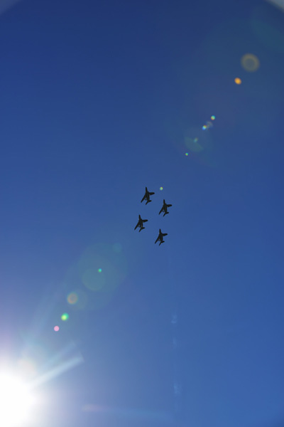 ブルーインパルス〜入間航空祭_b0175635_1038218.jpg