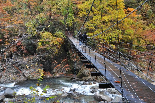 晩秋の秋山郷　（新潟県・津南町よりちょっぴりと・・）_e0099737_2149348.jpg