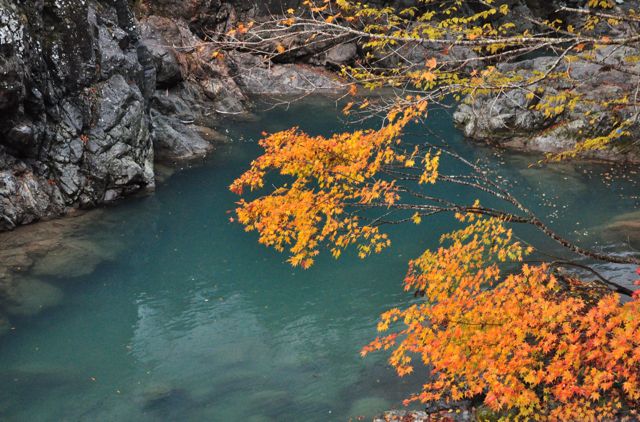 晩秋の秋山郷　（新潟県・津南町よりちょっぴりと・・）_e0099737_215096.jpg