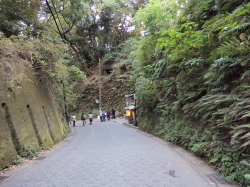 c0097838_19251798.jpg