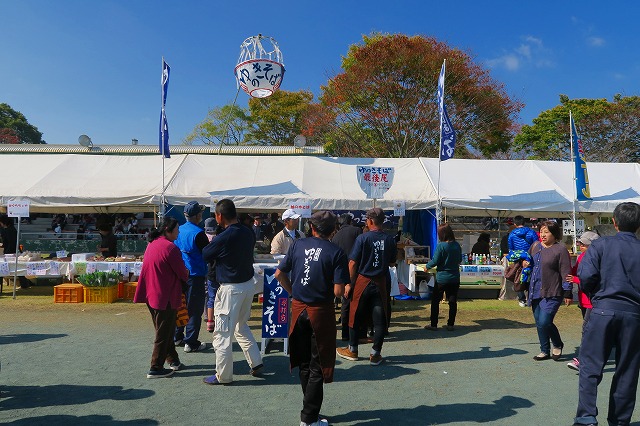 d0178738_8492865.jpg