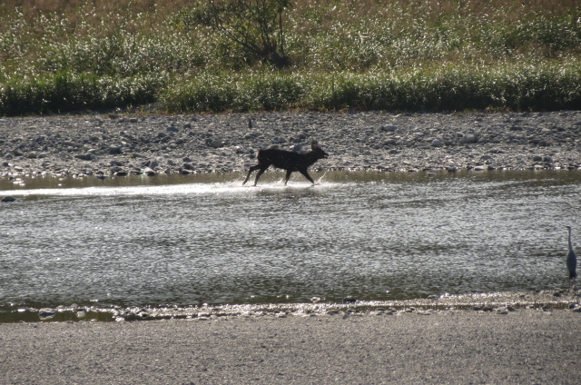 e0060041_20312885.jpg
