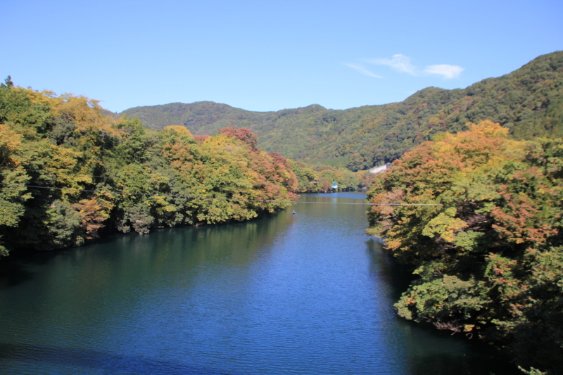 d0336342_22482600.jpg