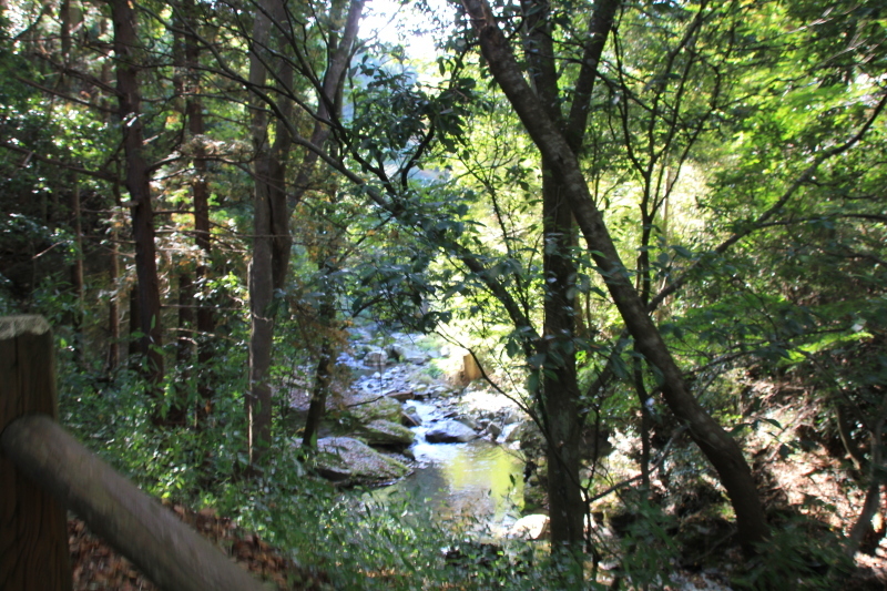 d0336342_22591206.jpg