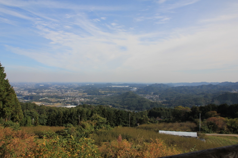d0336342_23283809.jpg