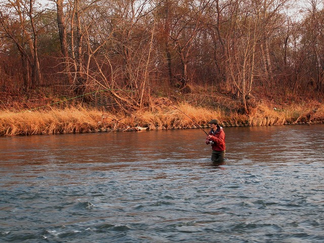 d0075843_20225668.jpg