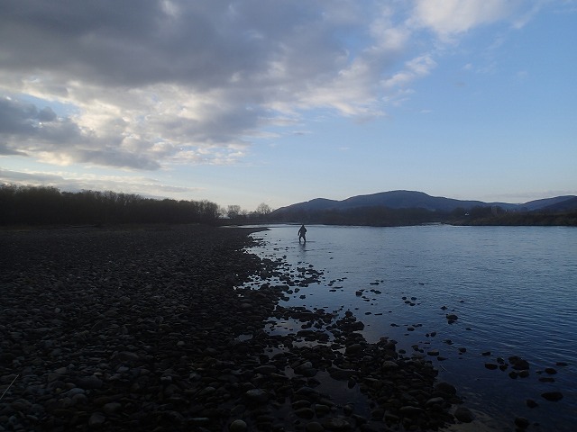 d0075843_2031563.jpg