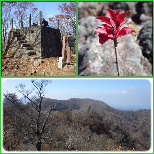 野峠～犬ヶ岳を歩く_e0164643_16251788.jpg