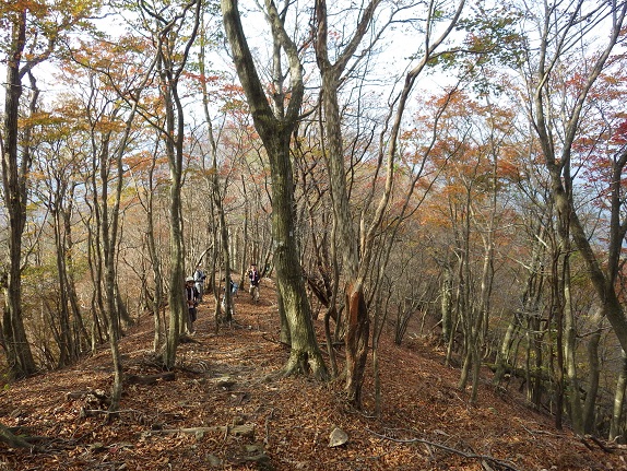 野峠～犬ヶ岳を歩く_e0164643_16411825.jpg