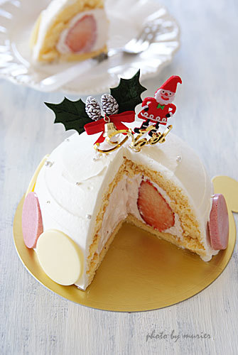 今年のクリスマスケーキ♪ル・ドーム・ド・ノエル_e0186643_09472275.jpg