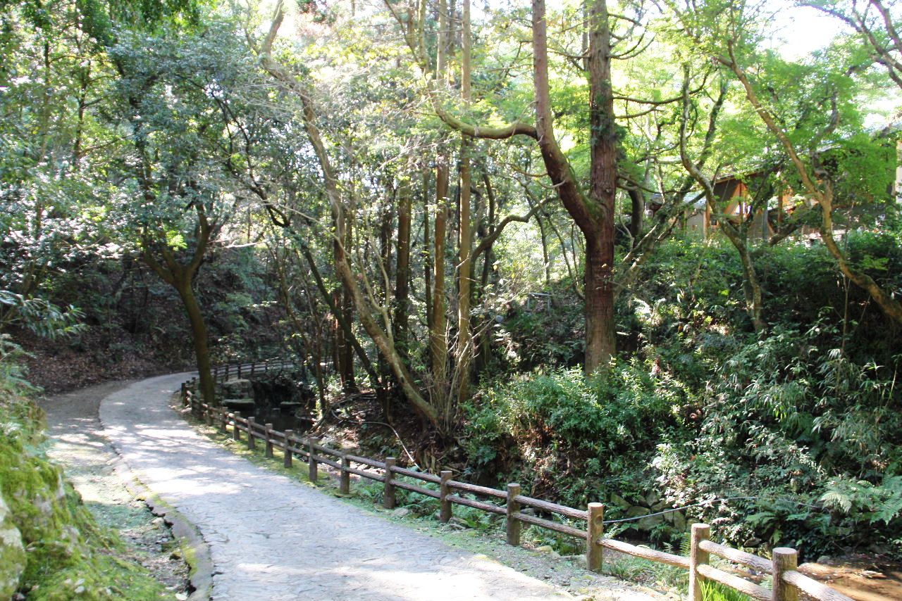 みやま市の清水寺本坊庭園と三重の塔へドライブ_c0011649_23494449.jpg