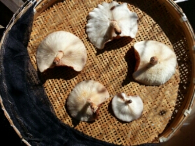 c0330749_21542829.jpg