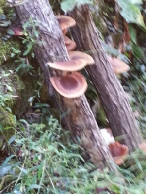 c0330749_21563928.jpg
