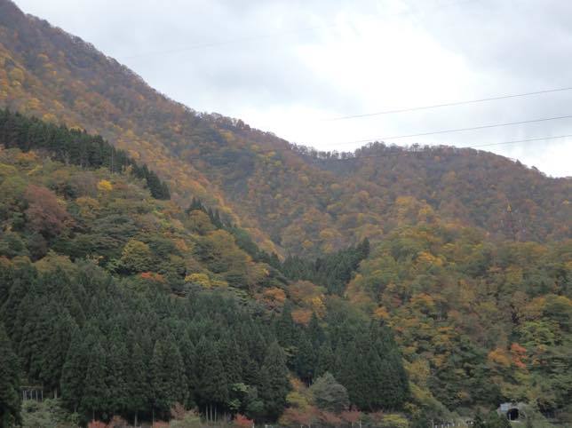 e0337749_21043931.jpg