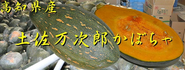 e0126350_1332216.jpg