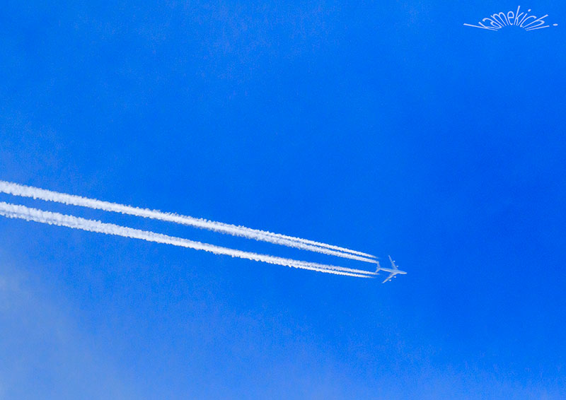 a0057752_11305387.jpg