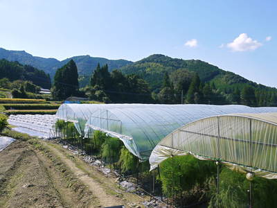 a0254656_18274210.jpg