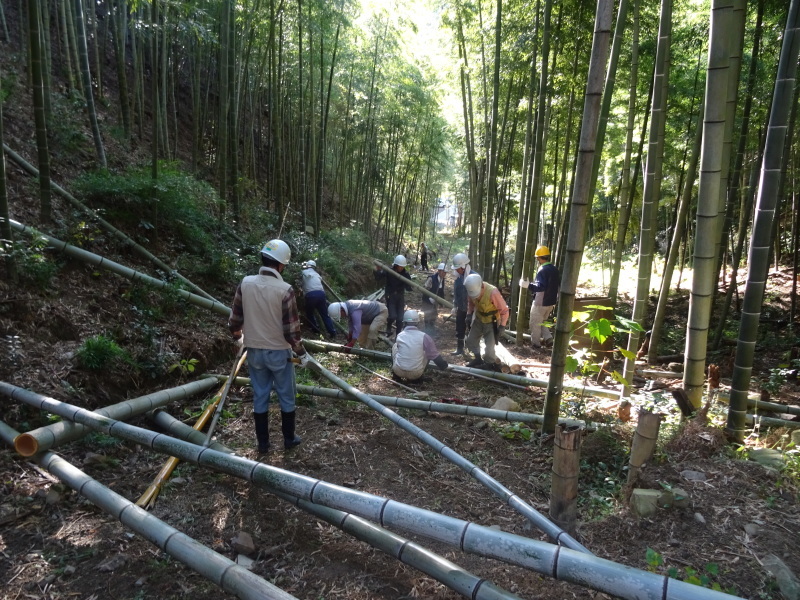 多奈川財産区「竹の里」で竹切りの協働作業・・・みさき里山クラブ　＆　うみべの森を育てる会_c0108460_21515226.jpg