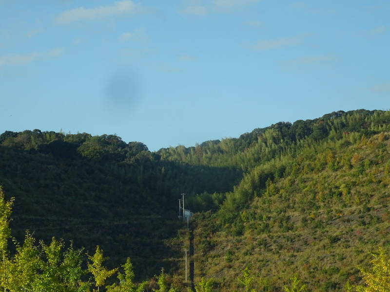 c0108460_21515598.jpg