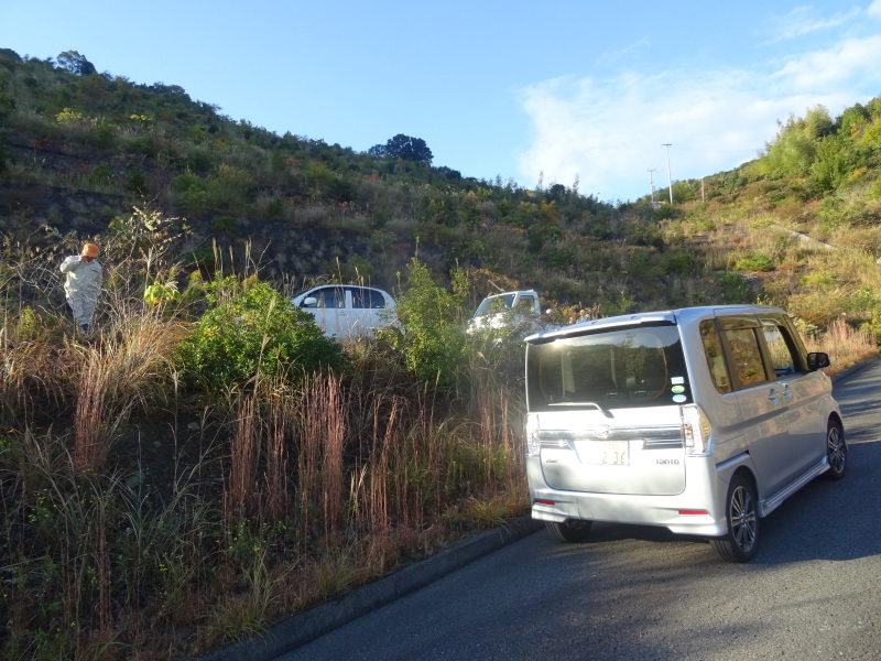 多奈川財産区「竹の里」で竹切りの協働作業・・・みさき里山クラブ　＆　うみべの森を育てる会_c0108460_21515712.jpg