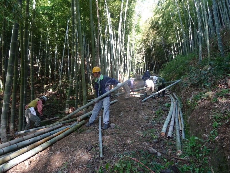 多奈川財産区「竹の里」で竹切りの協働作業・・・みさき里山クラブ　＆　うみべの森を育てる会_c0108460_21520321.jpg