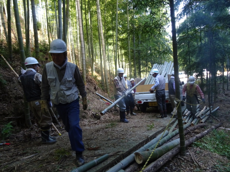 多奈川財産区「竹の里」で竹切りの協働作業・・・みさき里山クラブ　＆　うみべの森を育てる会_c0108460_21535358.jpg