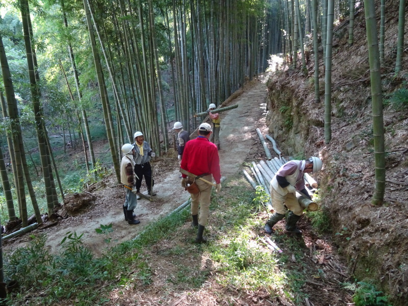 多奈川財産区「竹の里」で竹切りの協働作業・・・みさき里山クラブ　＆　うみべの森を育てる会_c0108460_21540084.jpg