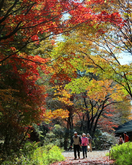 赤城自然園　晩秋編_c0305565_17255967.jpg