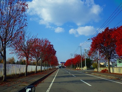 b0052375_13294424.jpg
