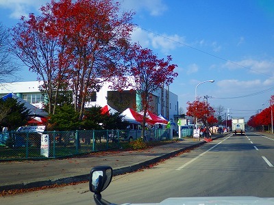 b0052375_13294722.jpg