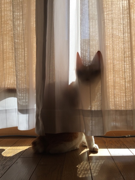 c0180581_1613495.jpg