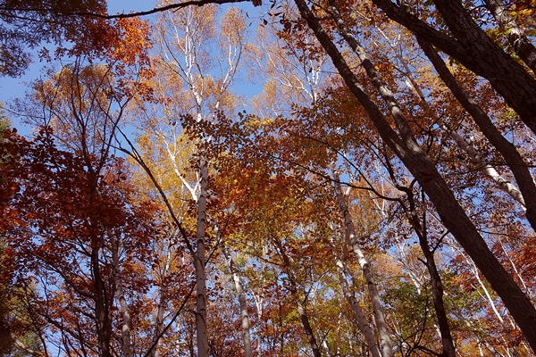 b0018682_2254370.jpg